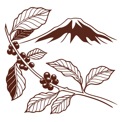 Batur Highland Coffee